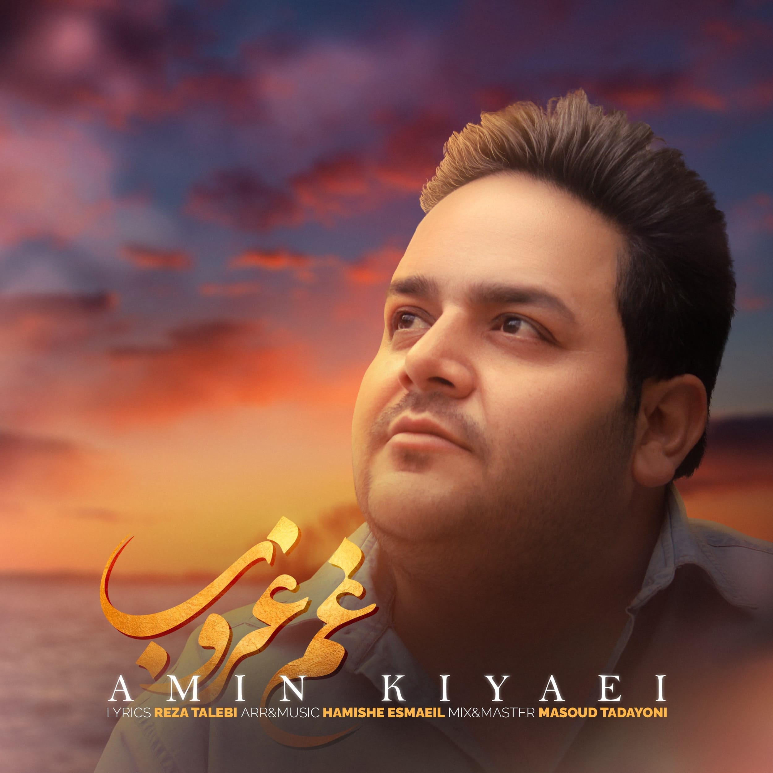 aminkia.com
